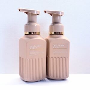 Bath & Body Works SWEET ORANGE & AGAVE Gentle & Clean Foaming Hand Soap (2pcs)